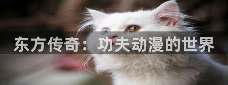 最新韩漫推荐：东方传奇：功夫动漫的世界配图