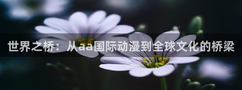 韩漫漫画精选推荐：世界之桥：从aa国际动漫到全球文化的桥梁配图