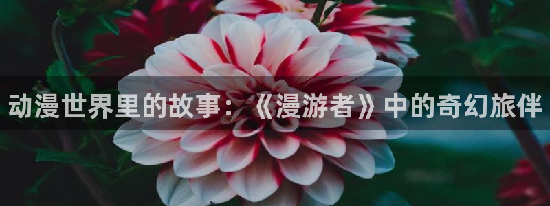 热门韩国漫画：动漫世界里的故事：《漫游者》中的奇幻旅伴配图