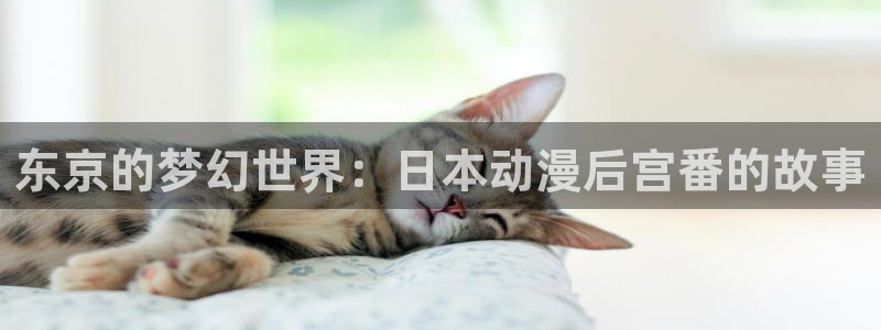 在线韩漫：东京的梦幻世界：日本动漫后宫番的故事配图