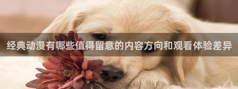 韩漫漫画网:经典动漫有哪些值得留意的内容方向和观看体验差异配图
