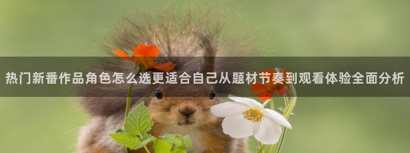 韩漫漫画高分排行榜：热门新番作品角色怎么选更适合自己从题材节奏到观看体验全面分析配图