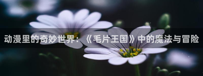 韩漫漫画推荐排行榜：动漫里的奇妙世界：《毛片王国》中的魔法与冒险配图
