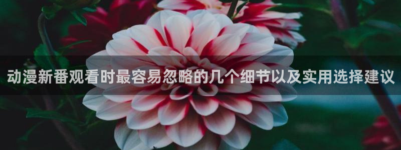 韩漫免费漫画网站:动漫新番观看时最容易忽略的几个细节以及实用选择建议配图