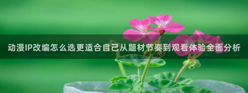 韩漫漫画大全排行:动漫IP改编怎么选更适合自己从题材节奏到观看体验全面分析配图